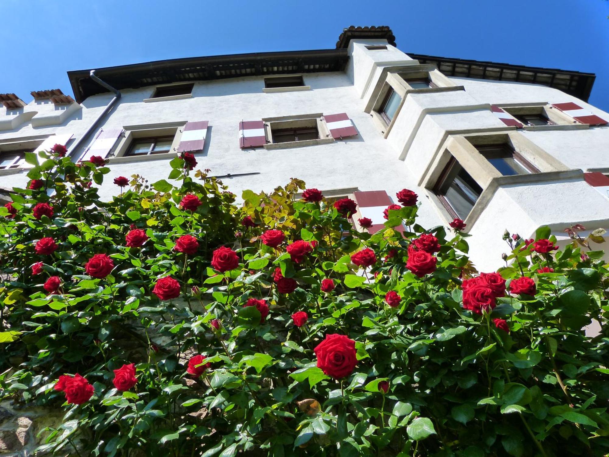 Apartments Schloss Paschbach Appiano Sulla Strada Del Vino Exterior foto