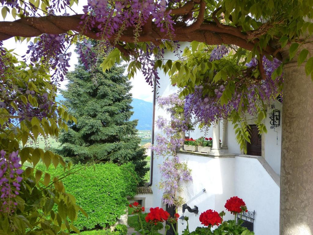 Apartments Schloss Paschbach Appiano Sulla Strada Del Vino Exterior foto